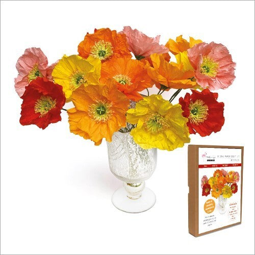 MIFK002 Floral Craft Kit - Icelandic Poppies